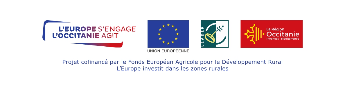 FOND EUROPEEN DE DEVELOPPEMENT REGIONAL (FEDER)